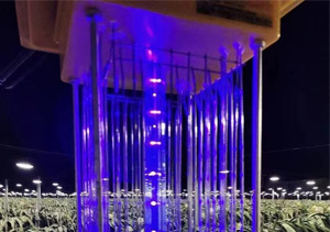 大棚內(nèi)用什么殺蟲燈好，需要注意什么